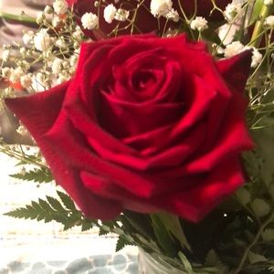 Meet your Posher, Candy